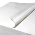 کاغذ چاپی 100% ویرجین خمیر کاغذ بدون کپی برای اتاق تمیز