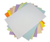 کاغذ اتاق تمیز کاغذ استیکی Sky Static Dissipative بدون گرد و غبار فقط برای ISO Cleanroom